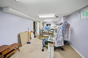 417 S Cass St, Berrien Springs, MI 49103 - Photo 21