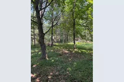 10532 N Oak Street, Irons, MI 49644 - Photo 27