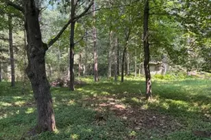 10532 N Oak St, Irons, MI 49644 - Photo 27