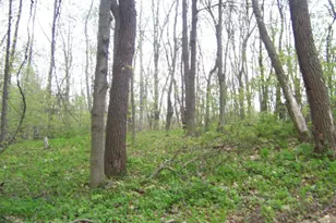 5742 Ontario St, Coloma, MI 49038 - Photo 1