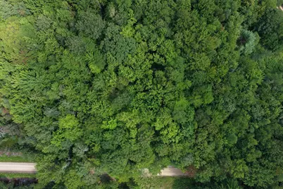 00 N 1 Road #Parcel G, Buckley, MI 49620 - Photo 19