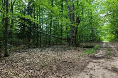 00 N 1 Road #Parcel G, Buckley, MI 49620 - Photo 11