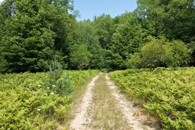 00 N 1 Road #Parcel G, Buckley, MI 49620 - Photo 13
