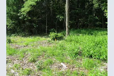105th Avenue #Parcel 05, Pullman, MI 49450 - Photo 5