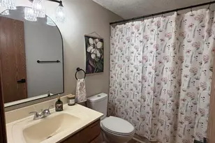 221 S Madison St, Adrian, MI 49221 - Photo 15