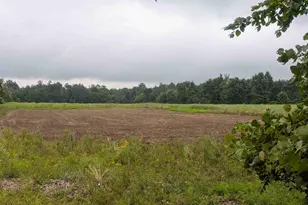 3135 Lee Hill Rd, Caro, MI 48723 - Photo 45