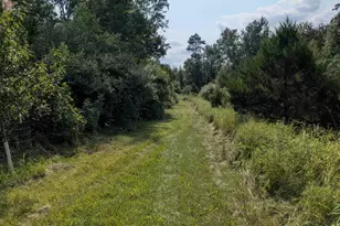 3135 Lee Hill Rd, Caro, MI 48723 - Photo 31