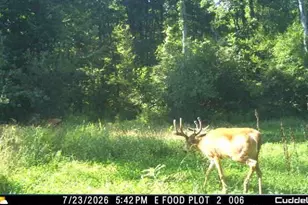 3135 Lee Hill Rd, Caro, MI 48723 - Photo 39
