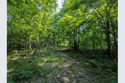 3135 Lee Hill Road, Caro, MI 48723 - Photo 33