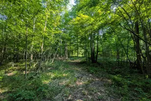 3135 Lee Hill Rd, Caro, MI 48723 - Photo 33