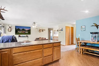 11159 Gravel Ridge Road, Lakeview, MI 48850 - Photo 9