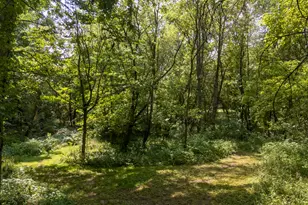 350 3rd St, Plainwell, MI 49080 - Photo 55