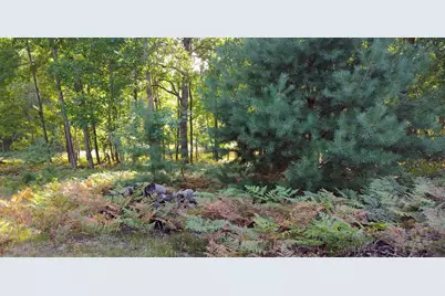 6809 W Deer Road, Mears, MI 49436 - Photo 37