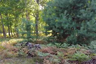 6809 W Deer Rd, Mears, MI 49436 - Photo 37