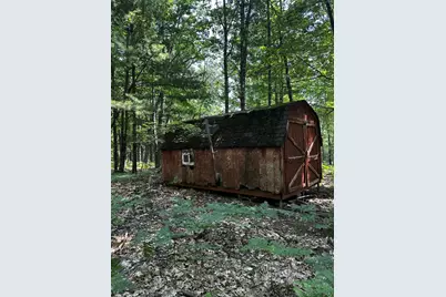 00 Vl Deer Trail, Irons, MI 49644 - Photo 5