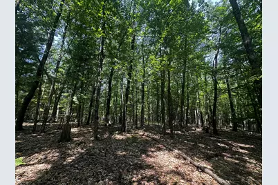 00 Vl Deer Trail, Irons, MI 49644 - Photo 9