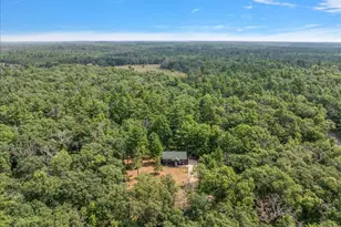 3729 S Walnut Ave, White Cloud, MI 49349 - Photo 41