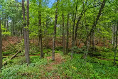 3729 S Walnut Avenue, White Cloud, MI 49349 - Photo 37