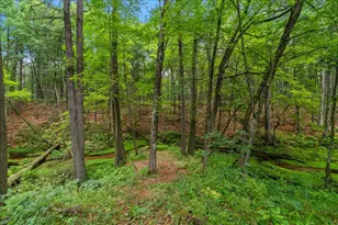3729 S Walnut Ave, White Cloud, MI 49349 - Photo 37