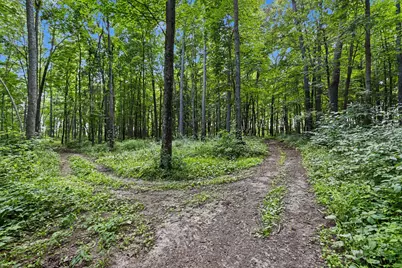 1280 Athens Road, Athens, MI 49011 - Photo 31
