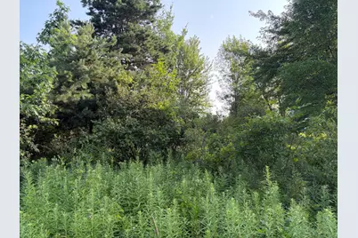 9653 52nd Avenue, Allendale, MI 49401 - Photo 17