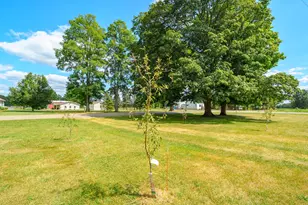 6521 5 Mile Rd, East Leroy, MI 49051 - Photo 31