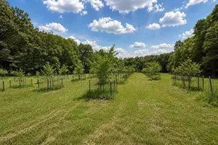 27661 Pine Lake St, Edwardsburg, MI 49112 - Photo 91