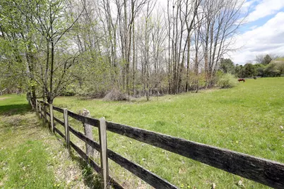 818 S Freer Road, Chelsea, MI 48118 - Photo 47