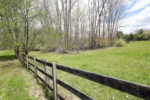 818 S Freer Rd, Chelsea, MI 48118 - Photo 47