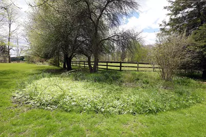 818 S Freer Road, Chelsea, MI 48118 - Photo 55