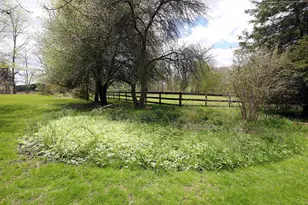 818 S Freer Rd, Chelsea, MI 48118 - Photo 55