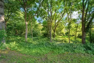 615 N Pleasant St, Jackson, MI 49202 - Photo 47
