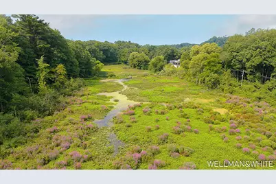 1019 Elizabeth Street, Saugatuck, MI 49453 - Photo 37