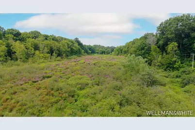1019 Elizabeth Street, Saugatuck, MI 49453 - Photo 35