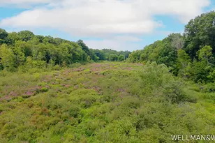 1019 Elizabeth St, Saugatuck, MI 49453 - Photo 33