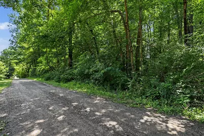V/L Middle Road #Lots 45 & 46, Three Rivers, MI 49093 - Photo 9