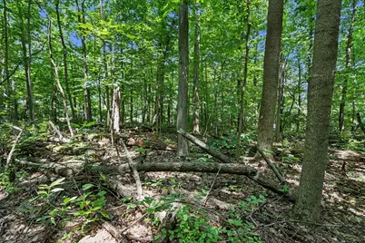 V/L Middle Road #Lots 45 & 46, Three Rivers, MI 49093 - Photo 13