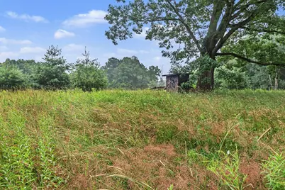 16465 Flarity Road, Brethren, MI 49619 - Photo 21