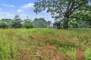 16465 Flarity Rd, Brethren, MI 49619 - Photo 21