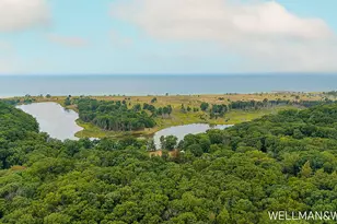 1019-1021 Elizabeth, Saugatuck, MI 49453 - Photo 39