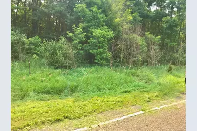 Buckhorn Road #Lot J, Three Rivers, MI 49093 - Photo 3
