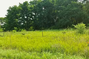 Buckhorn Rd, Three Rivers, MI 49093 - Photo 1