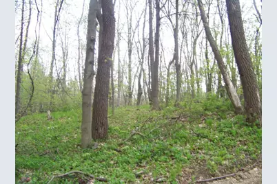 5575 Hagar Place, Coloma, MI 49038 - Photo 1