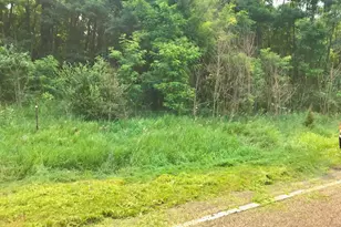Lot I Buckhorn Rd, Three Rivers, MI 49093 - Photo 1