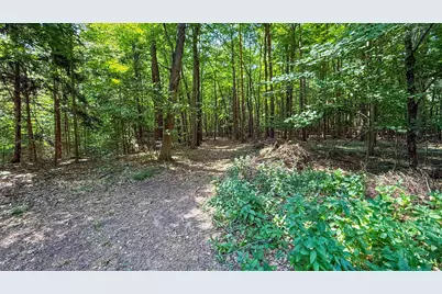 V/L Cr 388, South Haven, MI 49090 - Photo 27