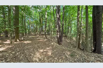 V/L Cr 388, South Haven, MI 49090 - Photo 33