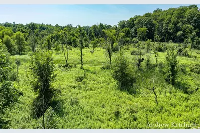 4664 6th Street, Caledonia, MI 49316 - Photo 57