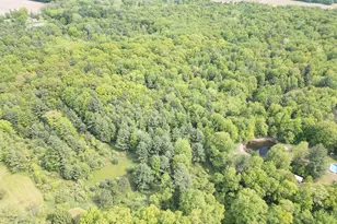 11737 Ellis Rd, Ravenna, MI 49451 - Photo 11