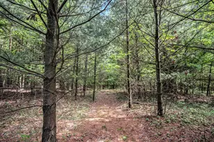 11737 Ellis Rd, Ravenna, MI 49451 - Photo 15
