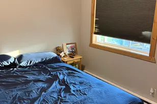 10456 S Ferris Ave, Grant, MI 49327 - Photo 31